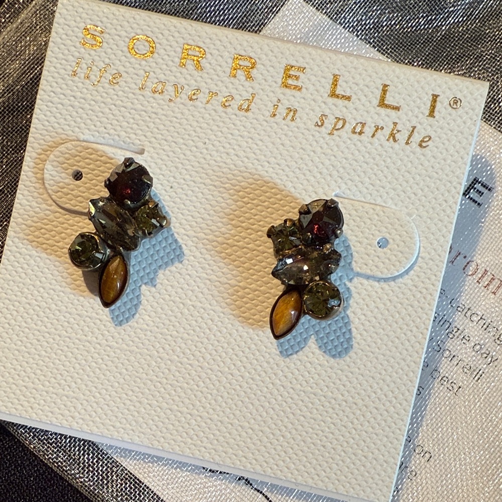 Sorrelli Elegant Gold and Brown Earrings